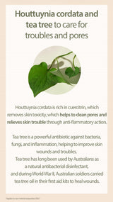 1+1 Houttuynia Cordata + Tea Tree Cleansing Foam - 150ml