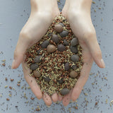 Vital Treatment 9 Essential Seeds 150ml