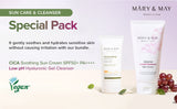 CICA Soothing Sun Cream + Low pH Hyaluronic Gel Cleanser