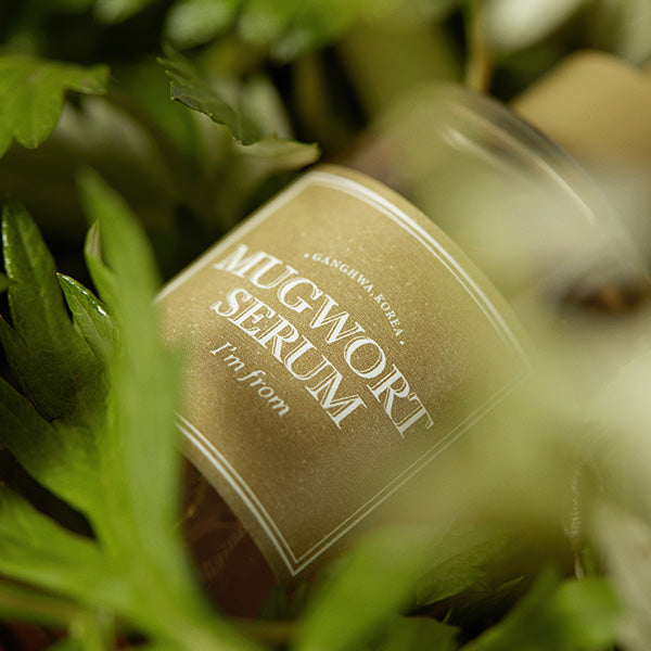 Mugwort Serum 30ml