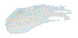 Get Loose Glitter Gel Mini 4g - 7 Colors