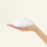 Houttuynia Cordata + Tea Tree Cleansing Foam - 150ml