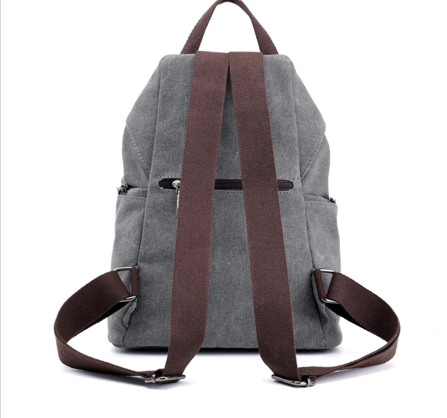 College Style Canvas Backpack and Tote Bag